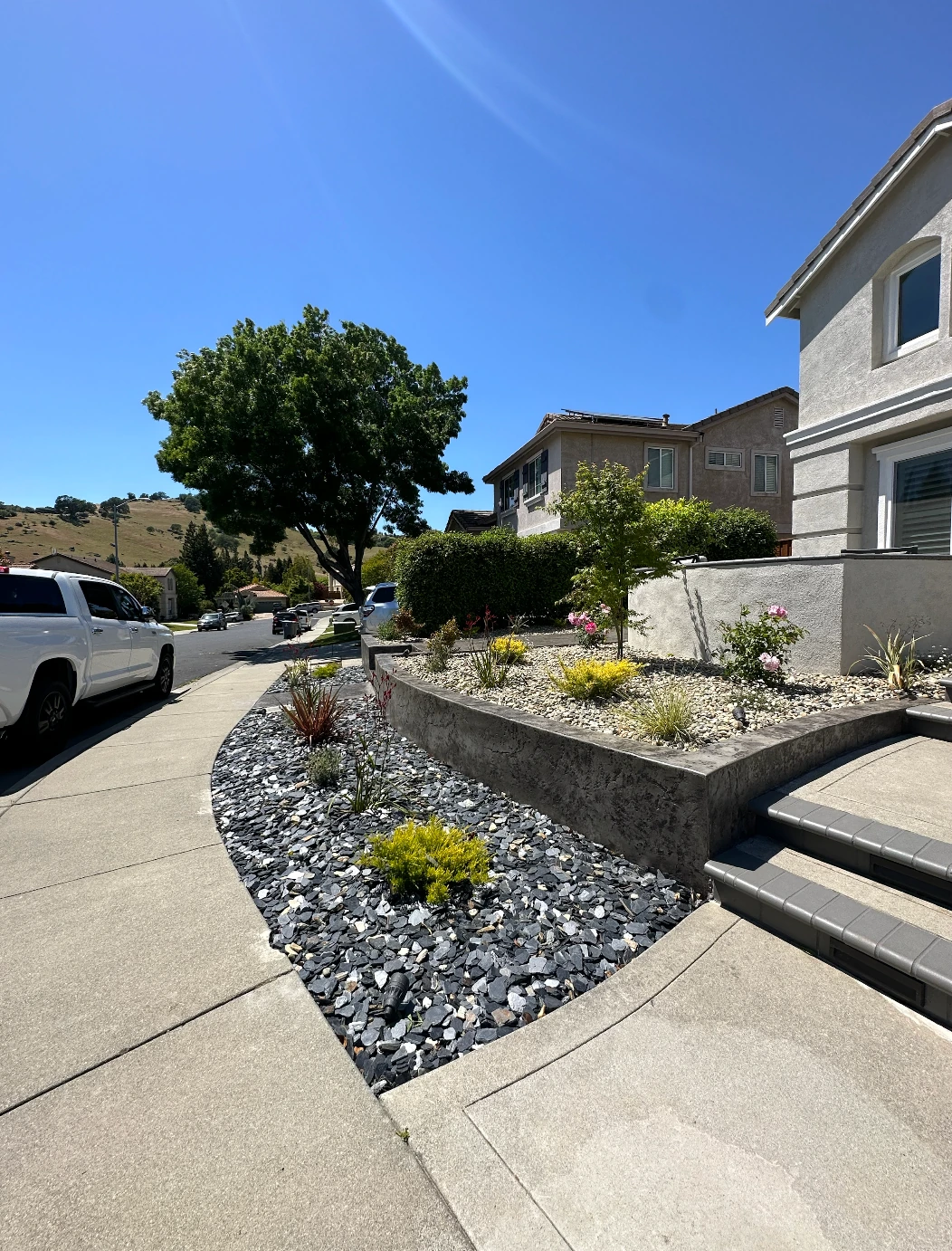 Modern exterior front yard project