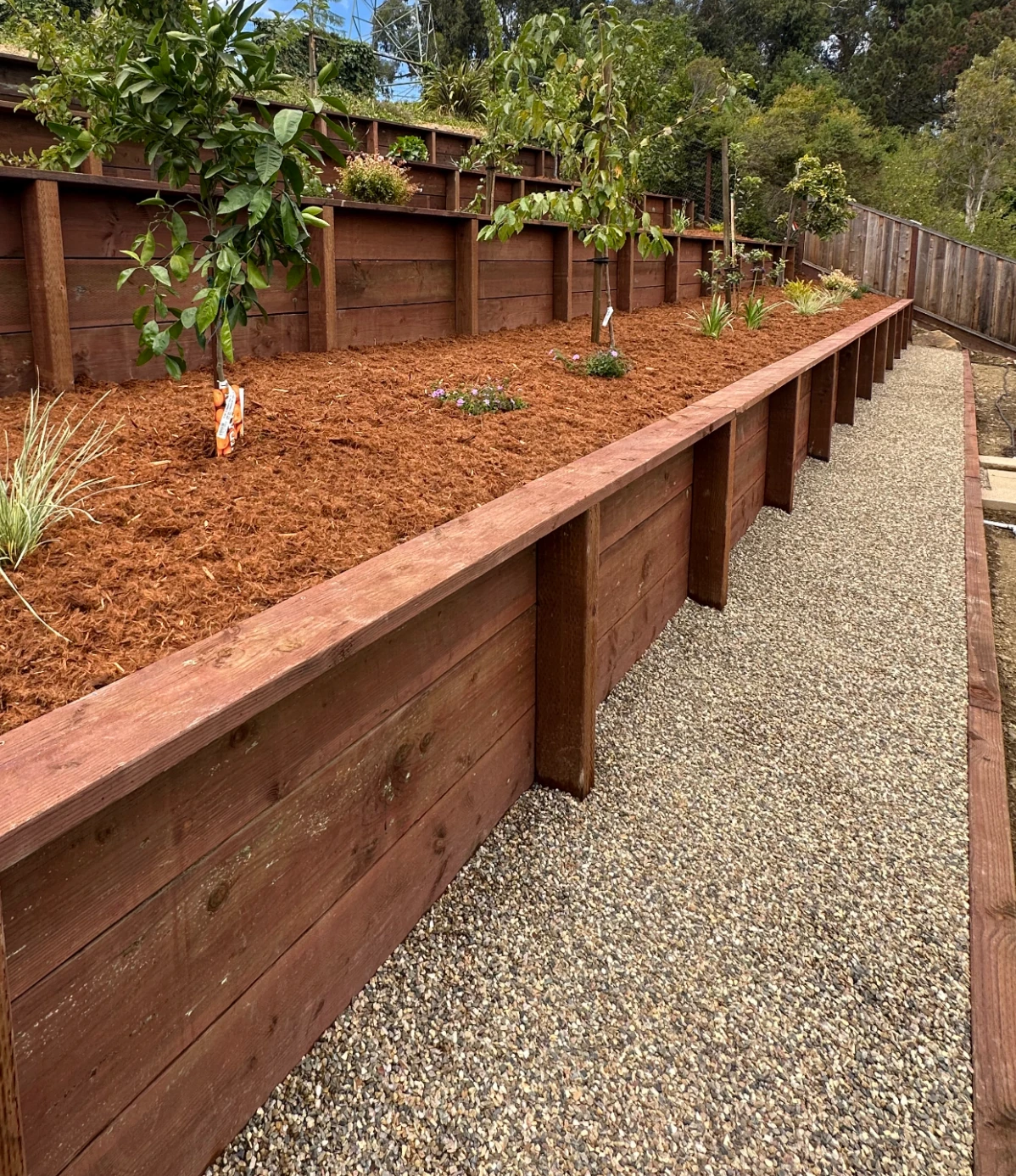 Professional landscaping project